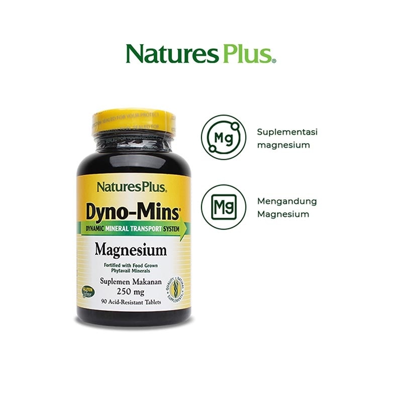 Dyno-Mins Mag 250Mg Tablet 250'S