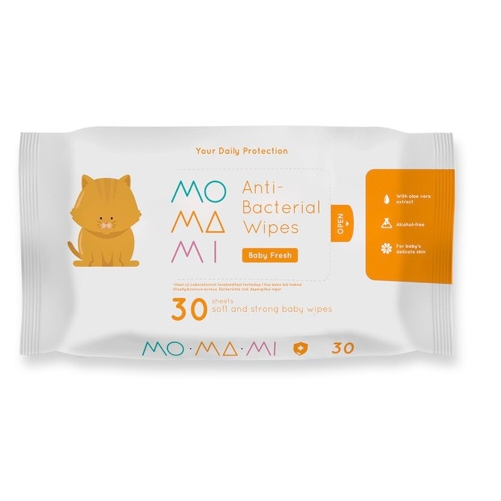 Anti Bacterial Wipes 30s