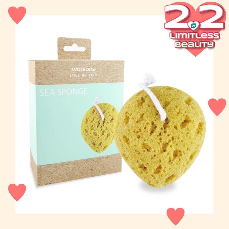 Watsons Sea Sponge