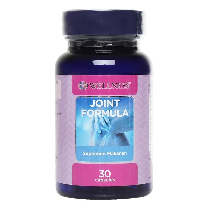 WELLNESS Joint Formula 30's