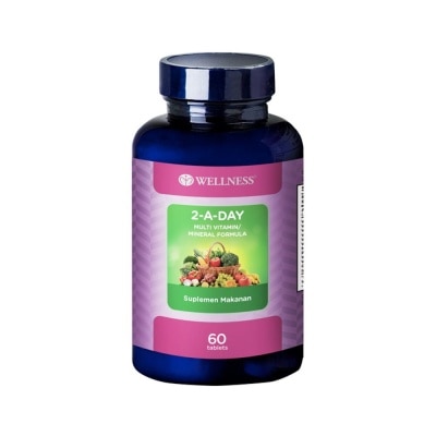 WELLNESS Multivitamin 2 A Day 60S