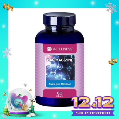 WELLNESS Cal/Mag/Zinc Tablet 60'S