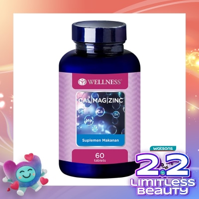 WELLNESS Cal/Mag/Zinc Tablet 60'S