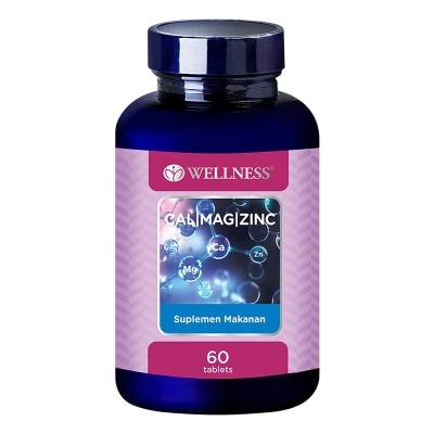 WELLNESS Cal/Mag/Zinc Tablet 60'S