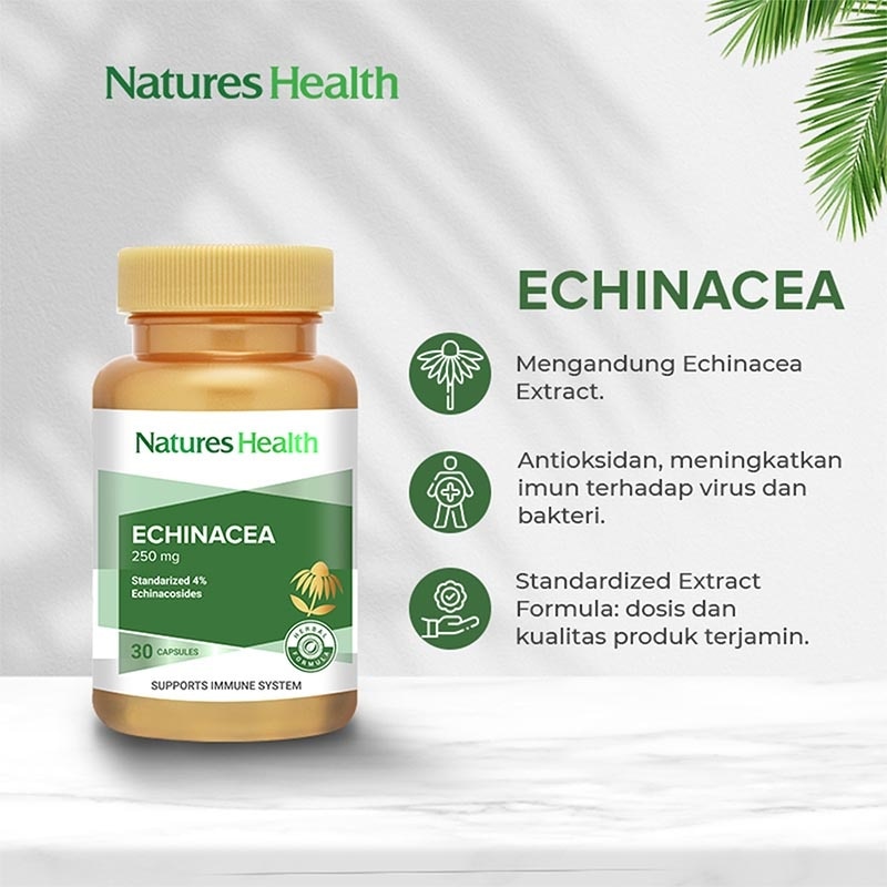 Echinacea 250 mg 30 Kapsul