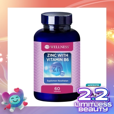 WELLNESS Zinc With B6 Tablet 60'S