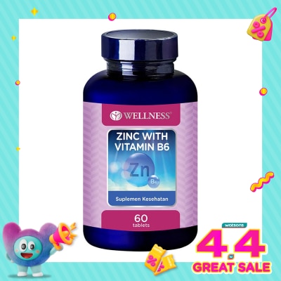 WELLNESS - Zinc With B6 Tablet 60'S