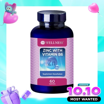 WELLNESS Zinc With B6 Tablet 60'S image