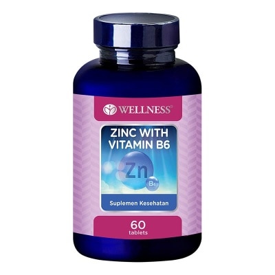 WELLNESS Zinc With B6 Tablet 60'S