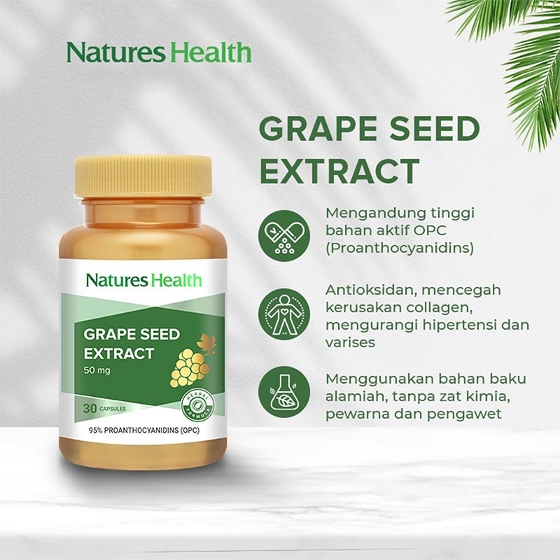 Grape Seed 50mg Kapsul 30'S