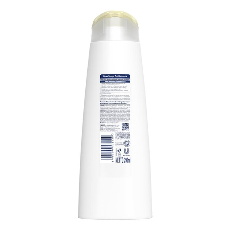 Dove Shampo Anti Ketombe 290ml