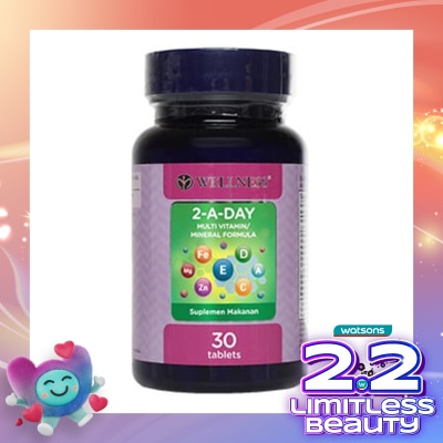 WELLNESS Multivitamin 2-A-Day Tablet 30'S