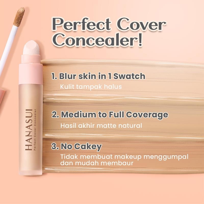 Hanasui Perfect Cover Concealer Fair #01