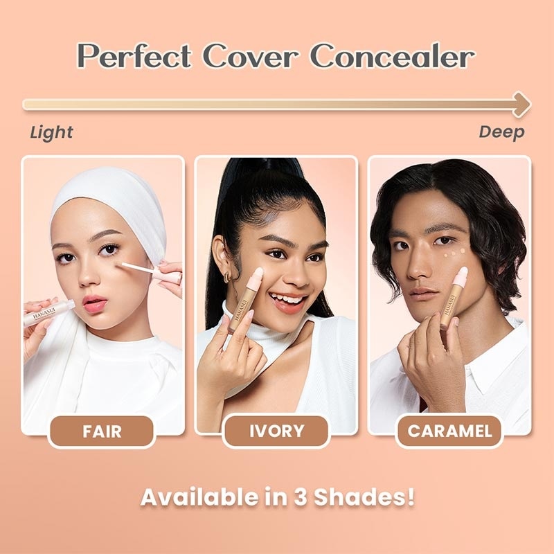 Hanasui Perfect Cover Concealer Fair #01