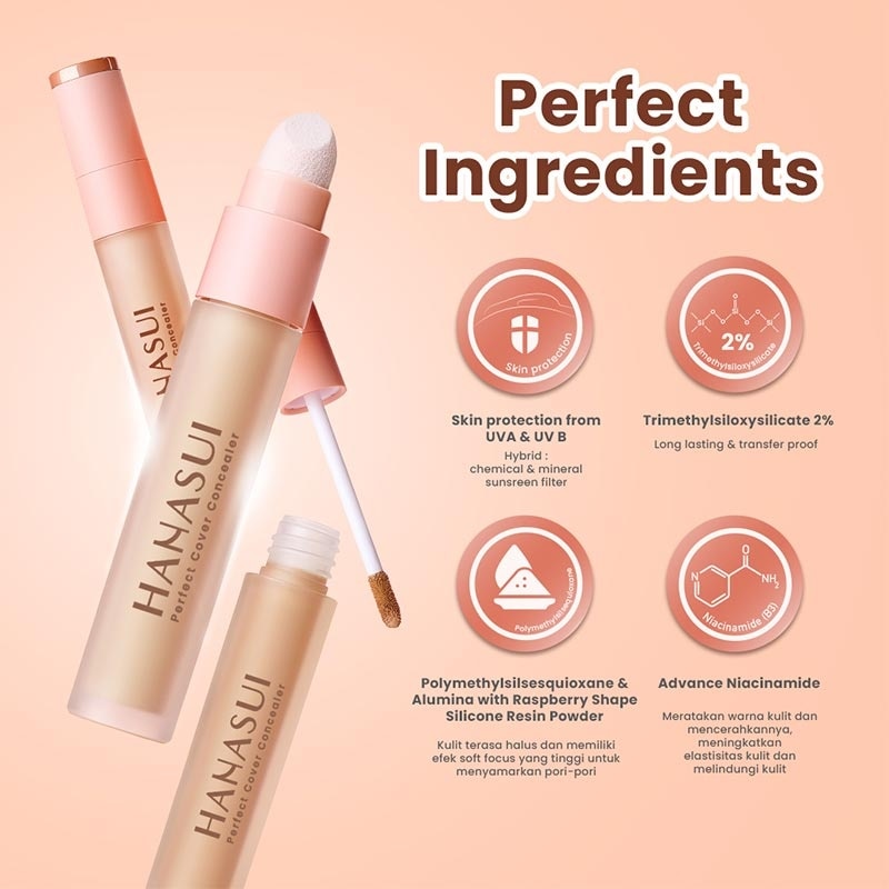 Hanasui Perfect Cover Concealer Fair #01