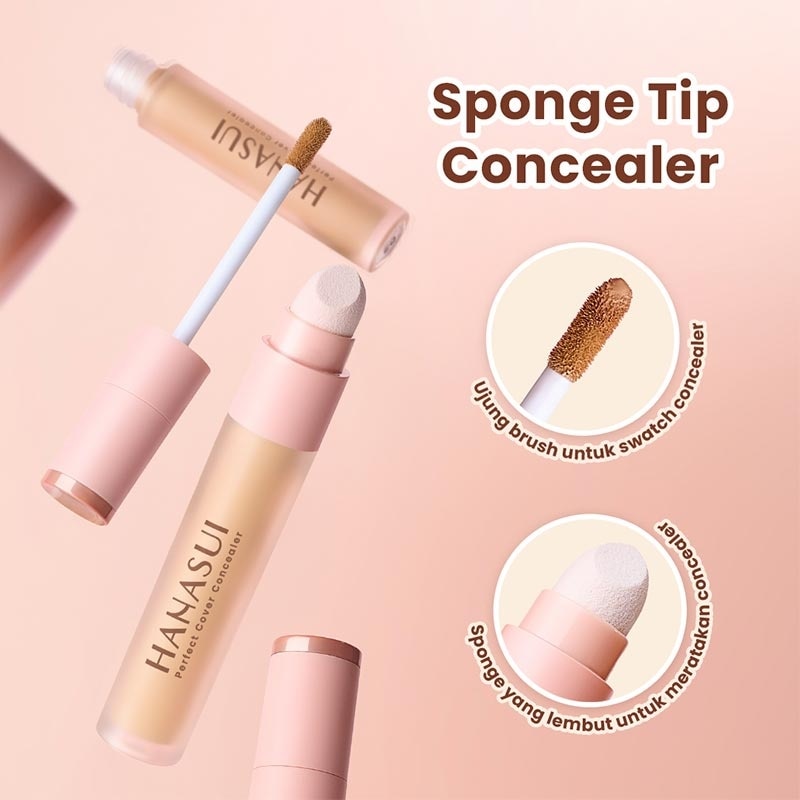 Hanasui Perfect Cover Concealer Fair #01