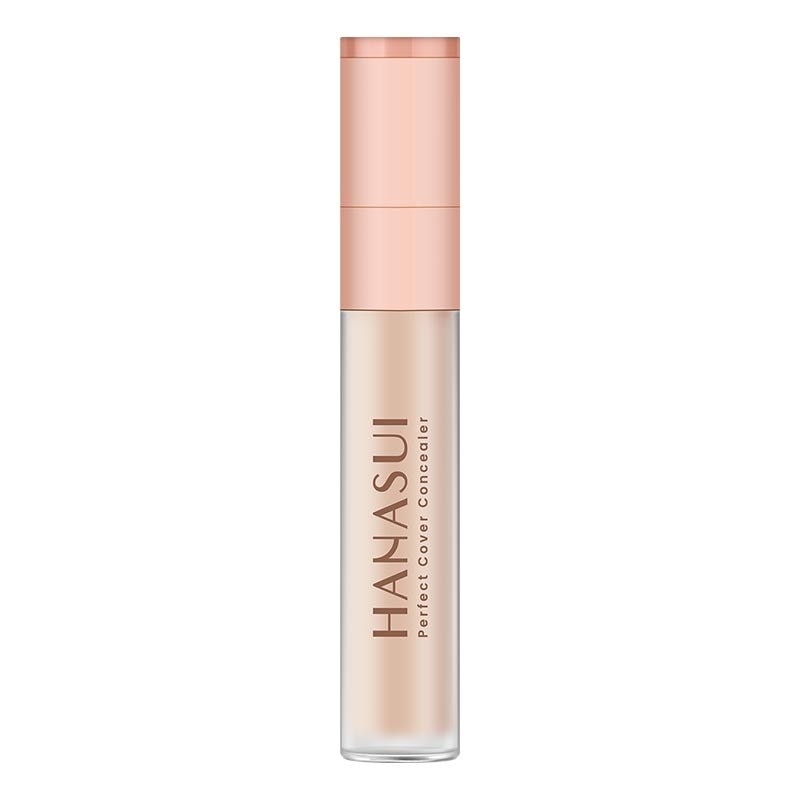 Hanasui Perfect Cover Concealer Fair #01