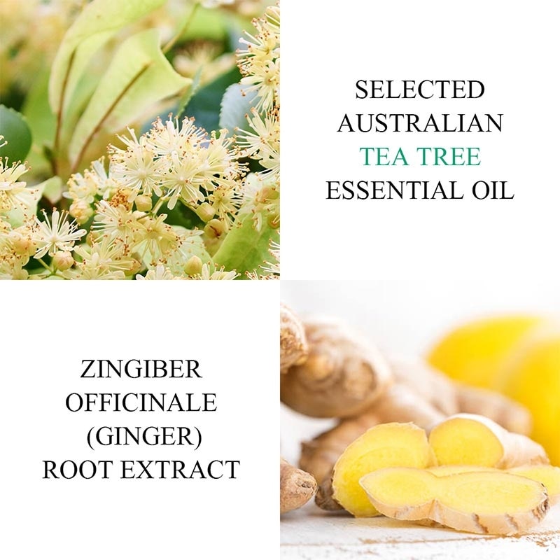 BREYLEE TTREE ACNE TREATMENT PEN 3ML