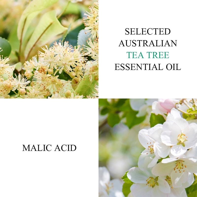 BREYLEE BLACKHEAD MASK (STEP 1) 17ML