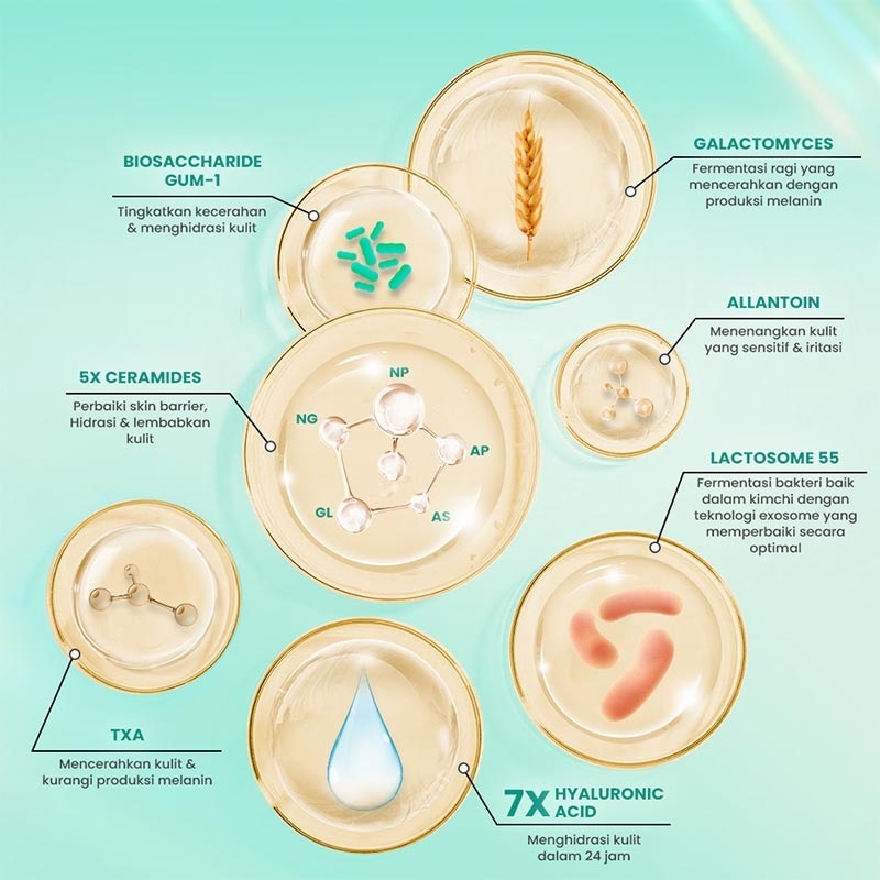 Hanasui Ceramide Probiotic Clear Pad 30 Pad
