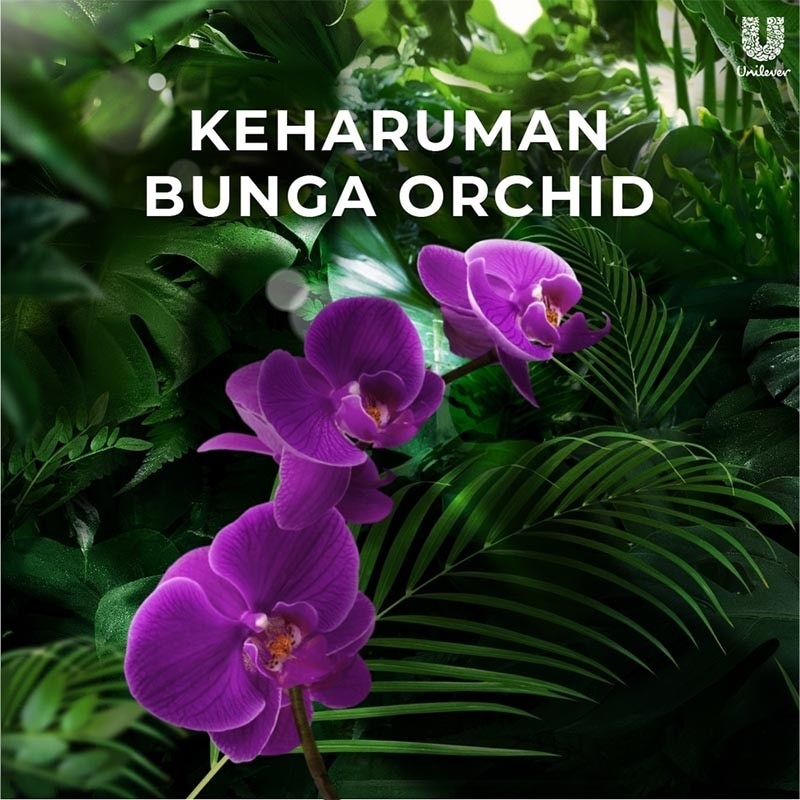 Botanicals Sabun Mandi Cair Magical Orchid 500ml