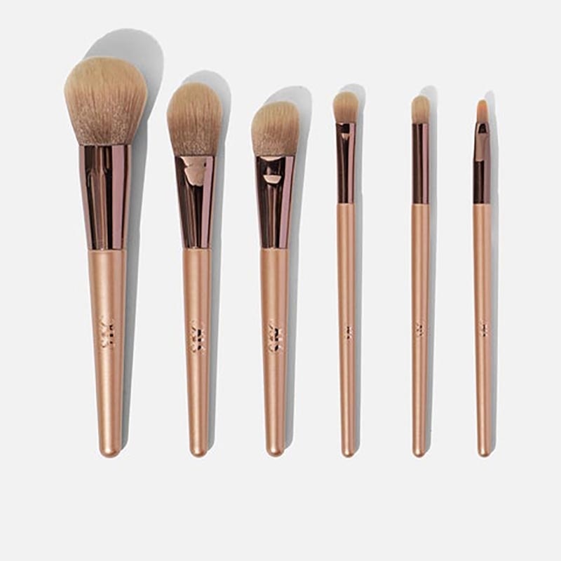 SASC Ready To Glow Brush Set