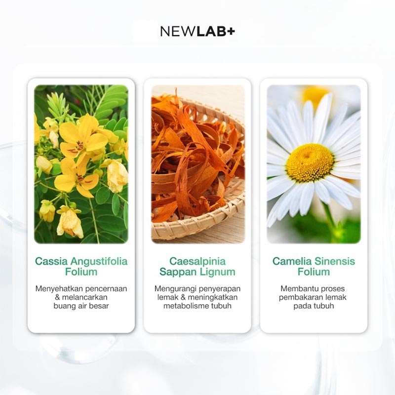 Fitlogy Herbs Mini 14'S