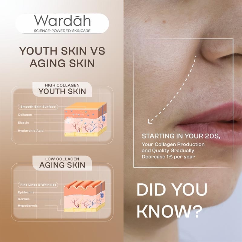 Wardah Plump & Firm Gel Moisturizer 30g - Face Care