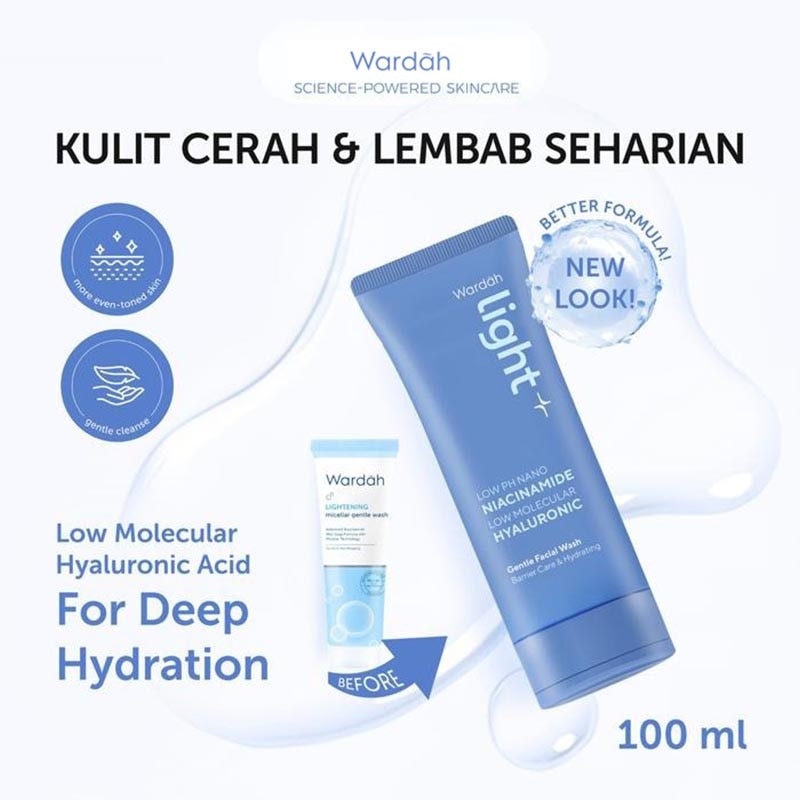 Light+ Low pH Nano Niacinamide Low Molecular Hyaluronic Gentle Facial Wash 100ml