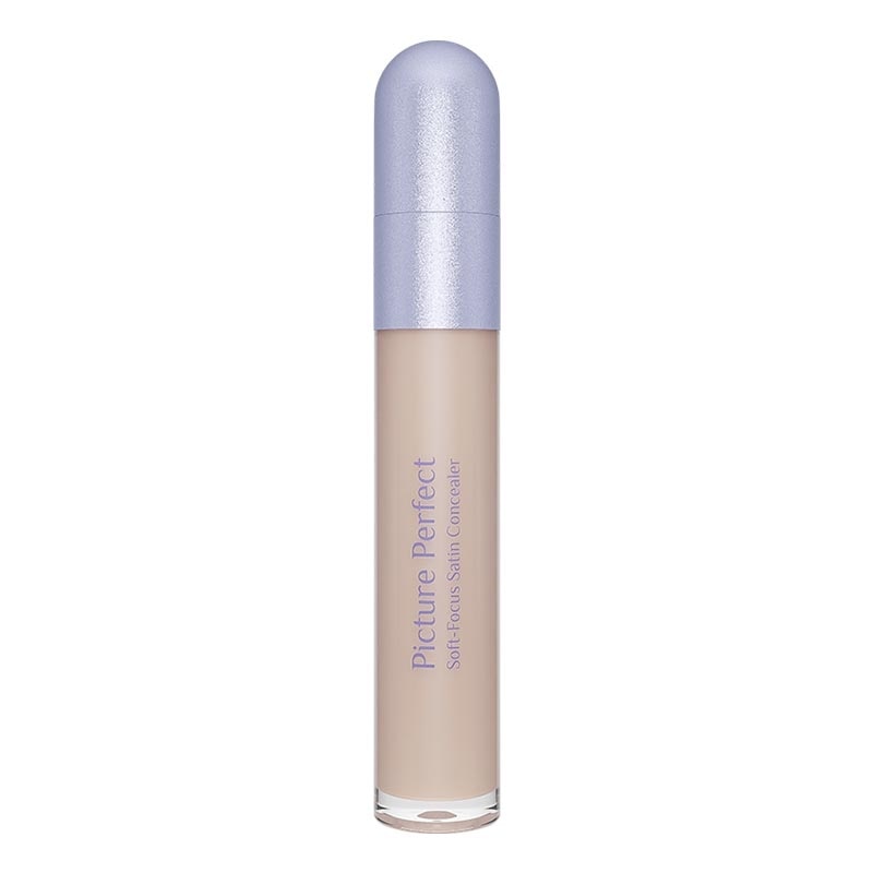 Picture Perfect Soft-Focus Satin Concealer N00 - Silk 6.8g