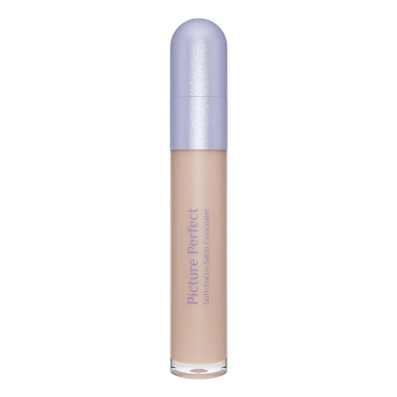 Picture Perfect Soft-Focus Satin Concealer C10 - Pearl 6.8g