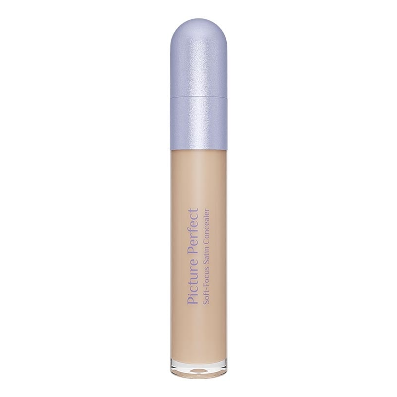 Picture Perfect Soft-Focus Satin Concealer W10 - Camel 6.8g