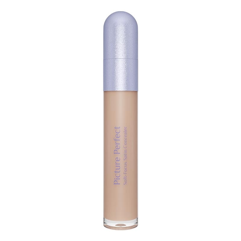 Picture Perfect Soft-Focus Satin Concealer N21 - Eclair 6.8g