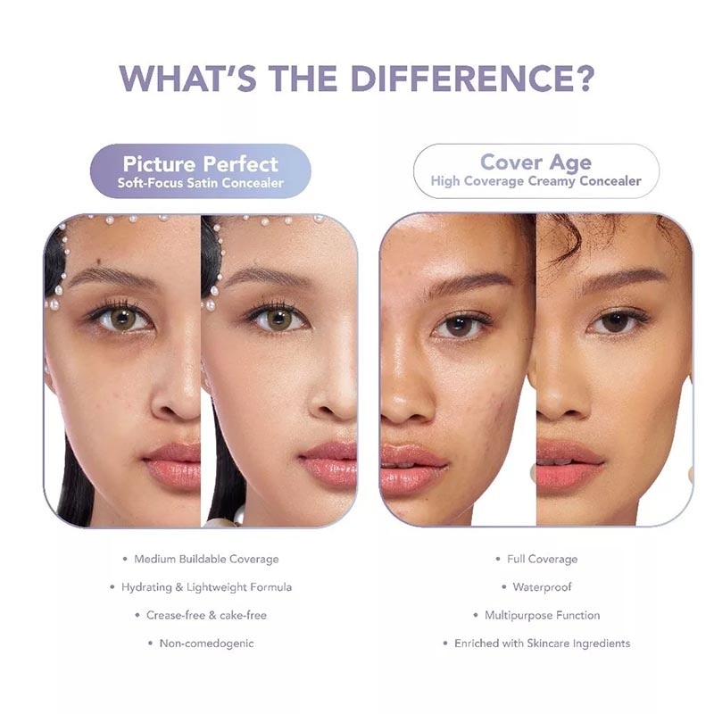Picture Perfect Soft-Focus Satin Concealer W20 - Cinnamon 6.8g