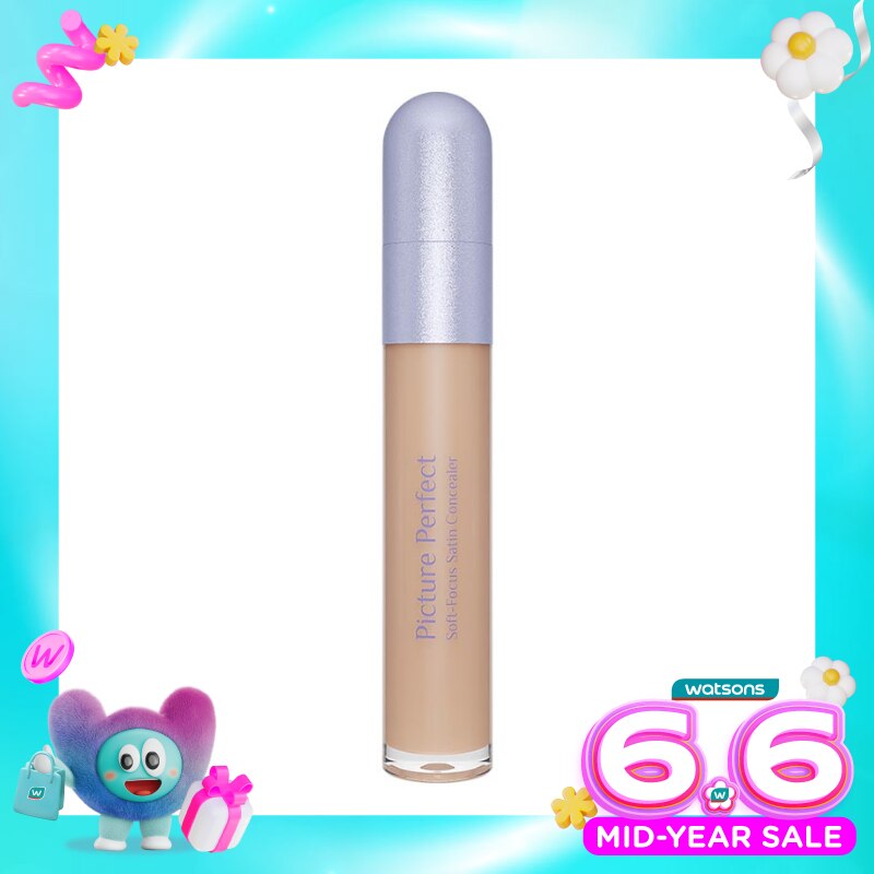 Picture Perfect Soft-Focus Satin Concealer W20 - Cinnamon 6.8g