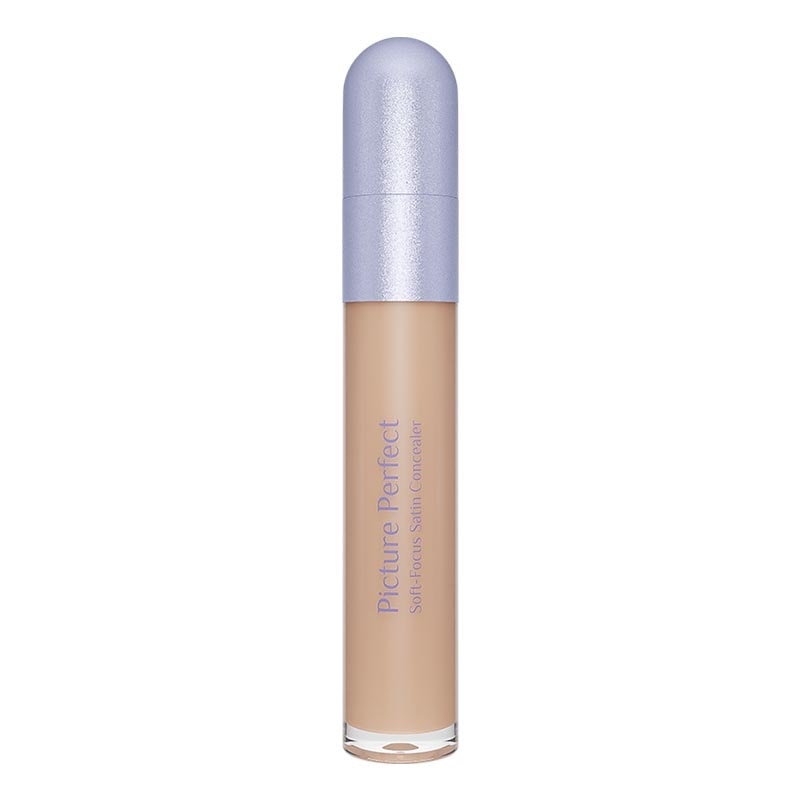 Picture Perfect Soft-Focus Satin Concealer W20 - Cinnamon 6.8g