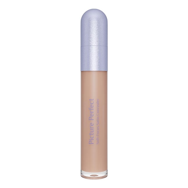 Picture Perfect Soft-Focus Satin Concealer N31 - Pecan 6.8g