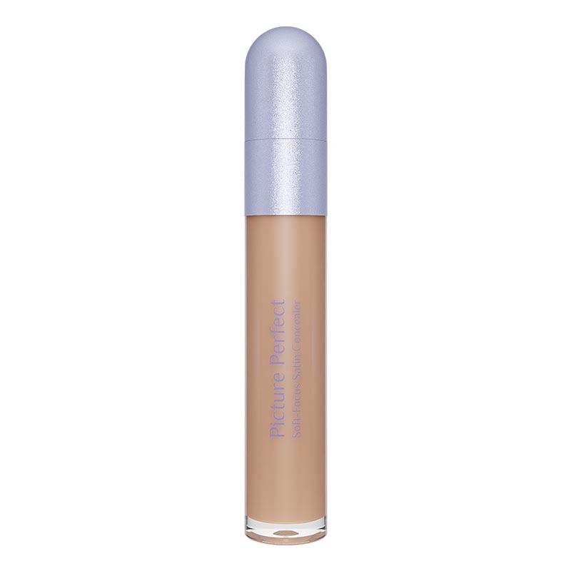 Picture Perfect Soft-Focus Satin Concealer W31 - Caramel 6.8g