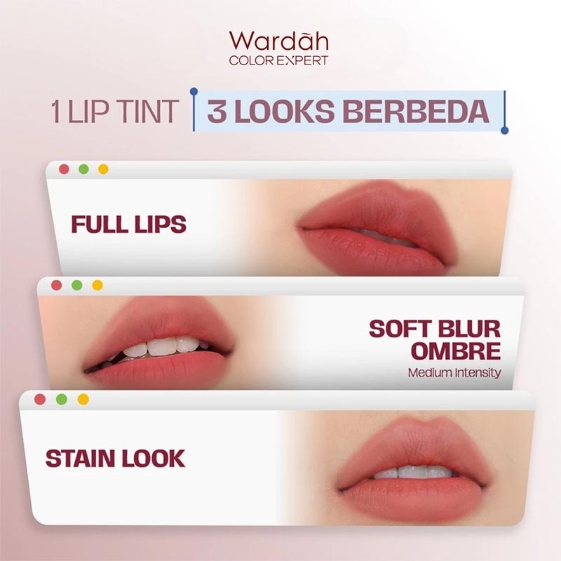 Wardah Airbrush Lip Tint 02 Persimoon 3g