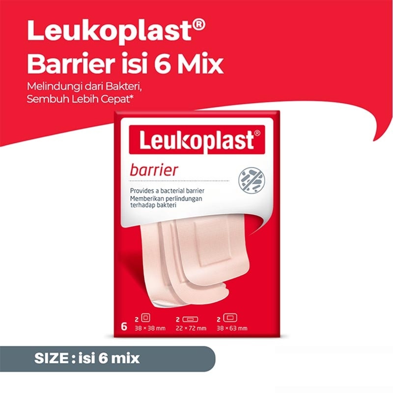 Leukoplast Barrier Assorted Mix 6'S