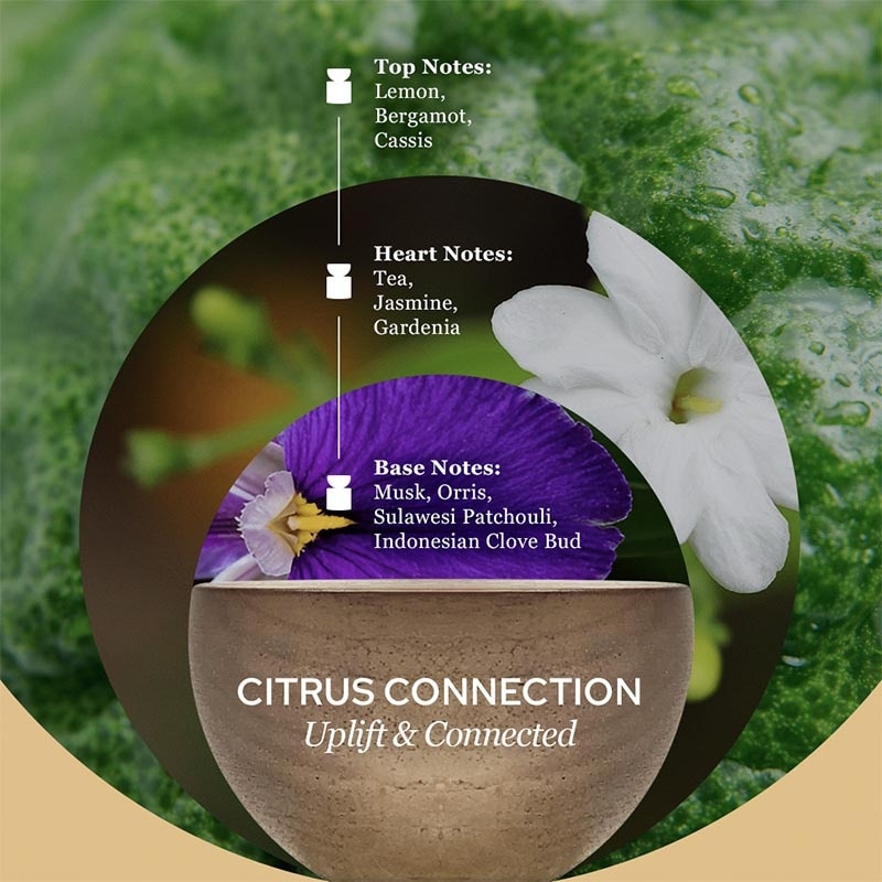 Citrus Connection Eau de Parfum 50ml