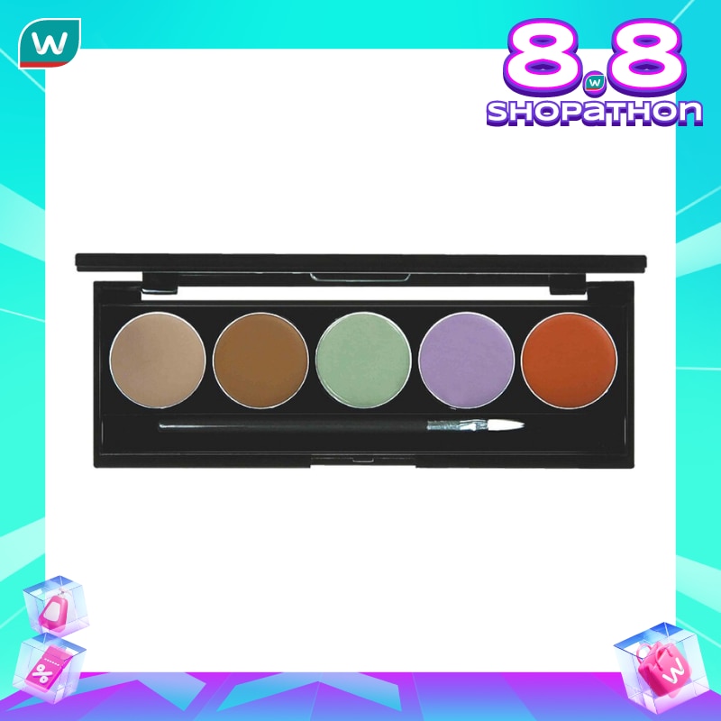 Concealer Camouflage Face