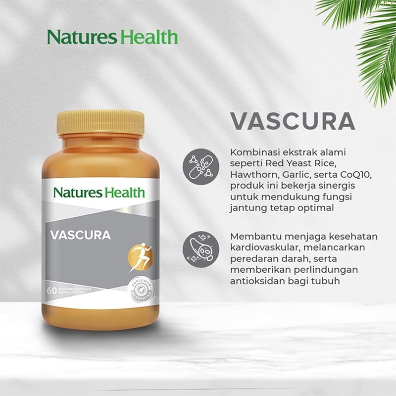 Vascura Kapsul 60'S
