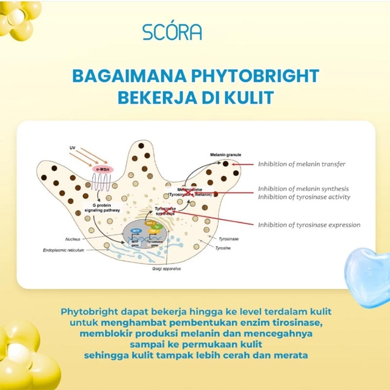 Phytobright Gentle Low pH Cleanser 100ml