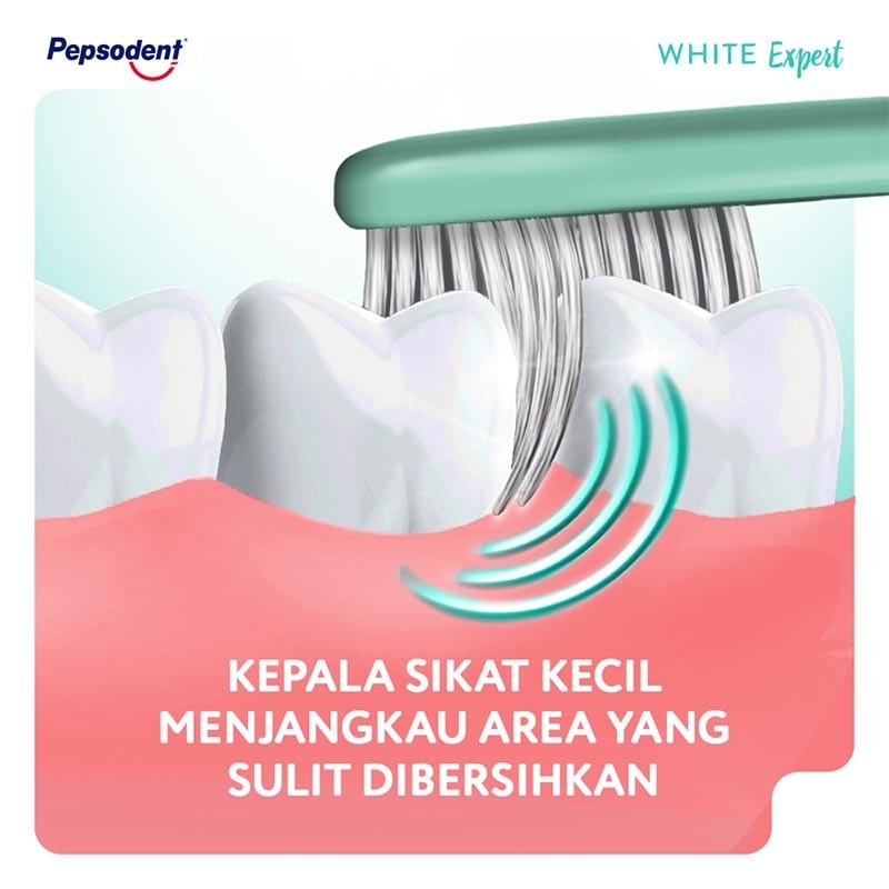 Sikat Gigi White Expert Soft 1'S