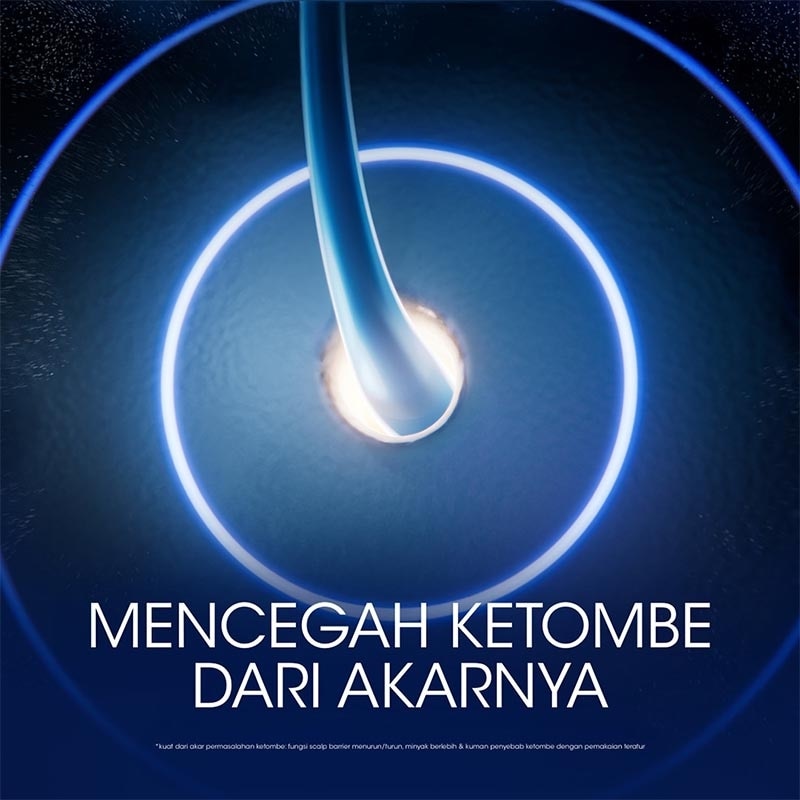 Shampoo Anti Ketombe & Rambut Rontok 660ml