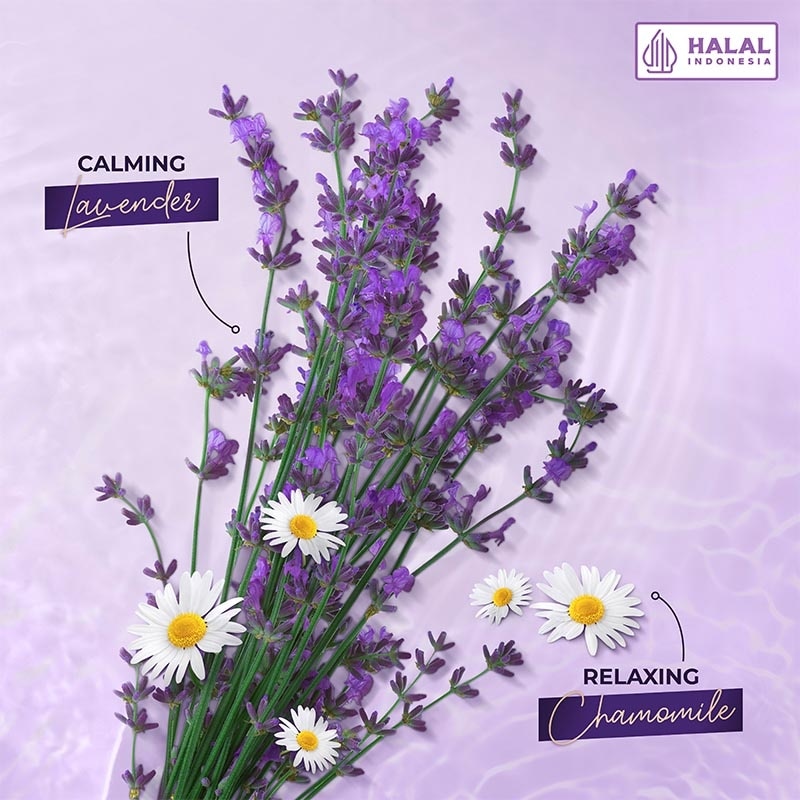 Twinpack Sabun Mandi Cair Hijab Series Lavender & Chamomile Pouch 800ml X 2 image