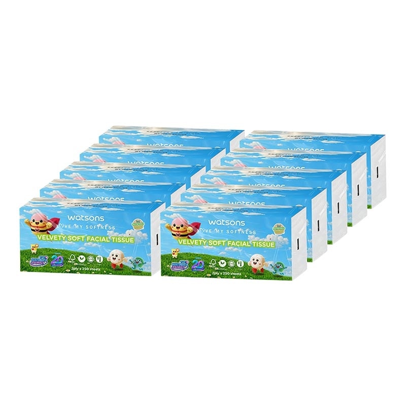 X Flower Softpack Tissue 10 X 250'S image