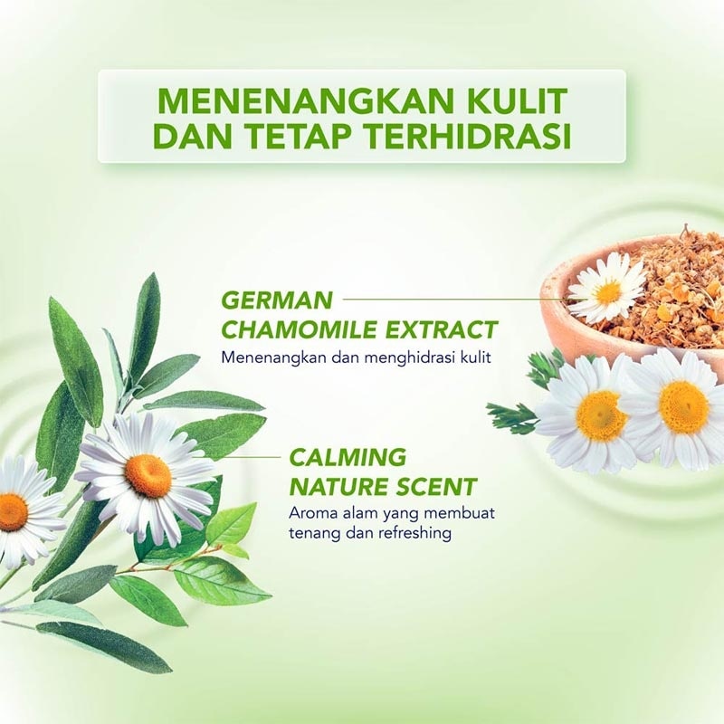 BIORE, VB BIORE B/RELAX+B/FOAM CALM/NTR 800ML3X | Watsons Indonesia