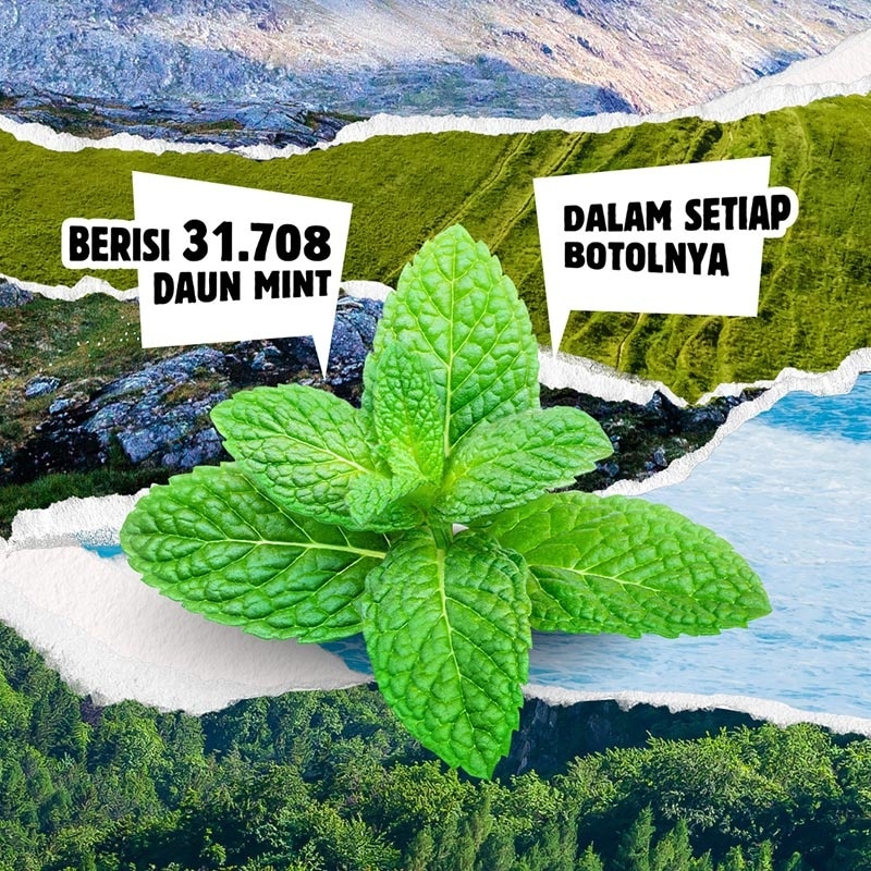 Body Wash Mint & Tea Tree 1000ml image